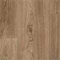 936 oak nature